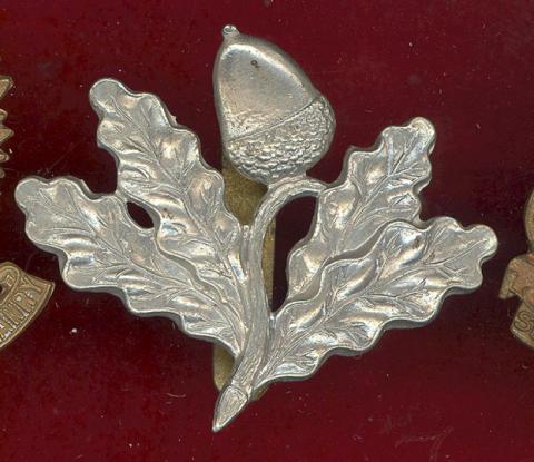 South Nottinghamshire Hussars Yeomanry OR's cap badge