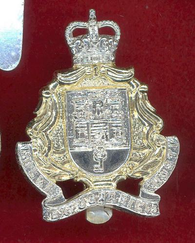 The Gibraltar Regiment staybright cap badge