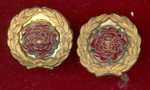 Royal Hampshire Regt. Officer's mess dress collar badges 