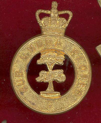 British Honduras Defence Force or Volunteer Guard cap badge