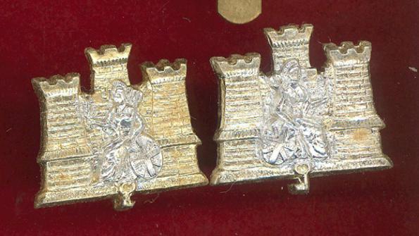 1st Bn. Royal Anglian Regiment staybright collar badges