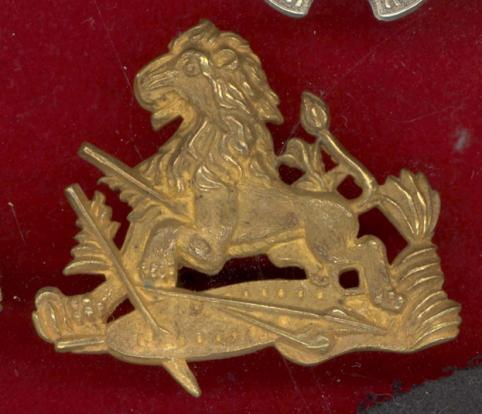 Rhodesia British South African Police cap badge