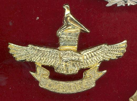 African Zimbabwe Airforce staybright cap badge