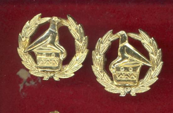 Zimbabwe Officer's staybright rank badges