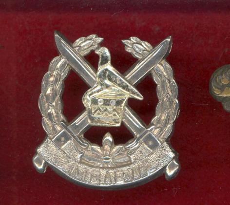 African Zimbabwe Army cap badge