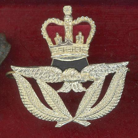 Royal Air Force  Warrant Officer's staybright sidecap badge