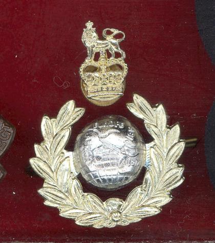 Royal Marines Officer's staybright beret badge