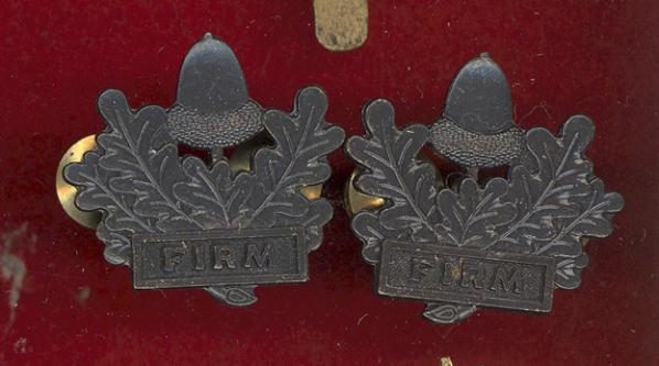 The Mercian Regiment Officer's / All Ranks collar badges