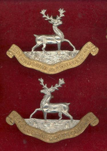 Bedfordshire & Hertfordshire Regiment OR's collar badges