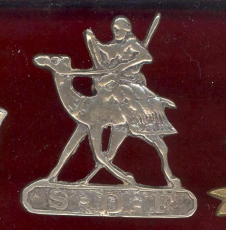 Sudan Defence Force Head-dress badge