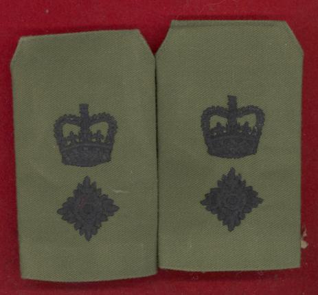 Royal Marines Lieutenant Colonel rank slides