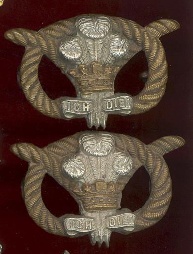 North Staffordshire Regiment Victorian OR's collar badges