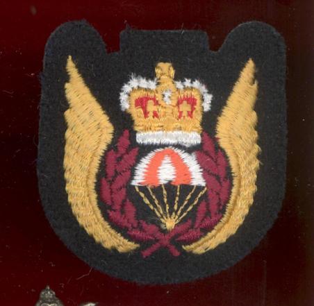 Canadian Armed Force Para Rescue badge