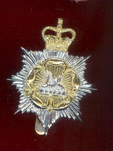 The Gloucestershire & Hampshire Regiment staybright cap badge