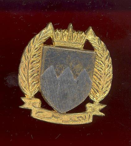 Bahrain Defence Force cap badge 