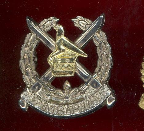 African Zimbabwe Army cap badge