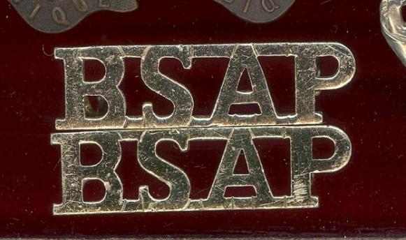 BSAP British South African Police staybright shoulder titles