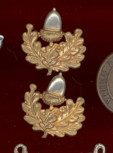 The Cheshire Regiment OR's collar badges