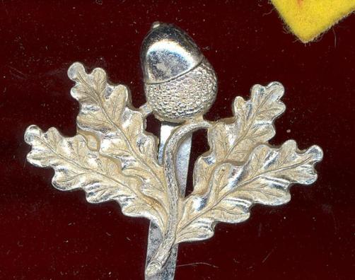 South Nottinghamshire Hussars staybright cap badge