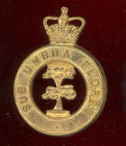 British Honduras Defence Force or Volunteer Guard cap badge