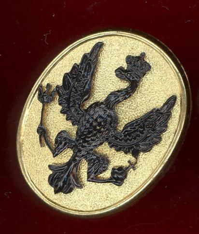 14th/20th King's Hussars JNCO's arm badge 