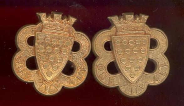 Duke of Cornwalls Light Infantry Victorian OR's collar badges