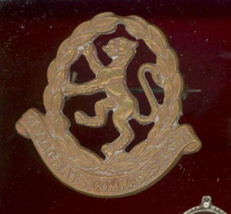 QMAAC & ATS Comrades Association lapel badge