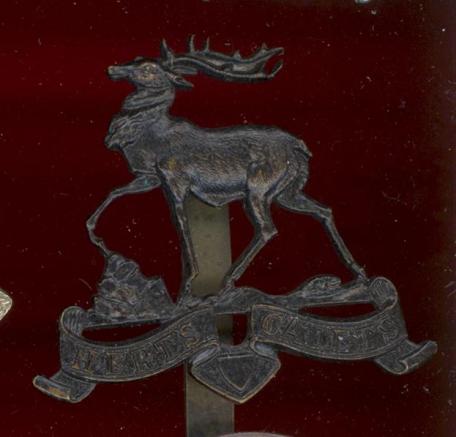 Hertfordshire Cadets cap badge