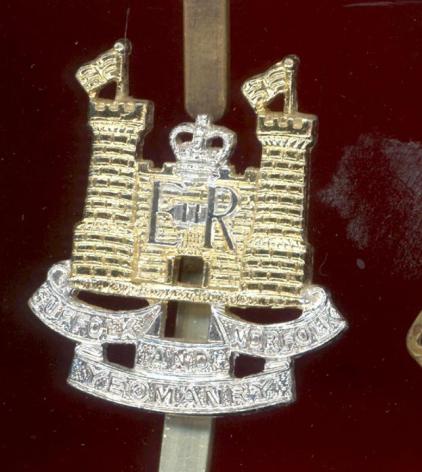 Suffolk & Norfolk Yeomanry staybright cap badge