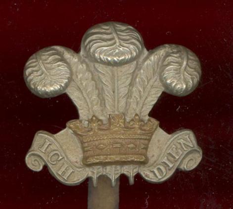 Royal Wiltshire Yeomanry WW1 OR's cap badge