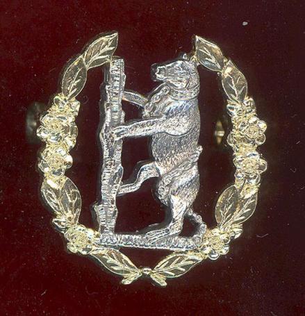 Queen's Own Warwickshire & Worcestershire Yeomanry staybright cap badge