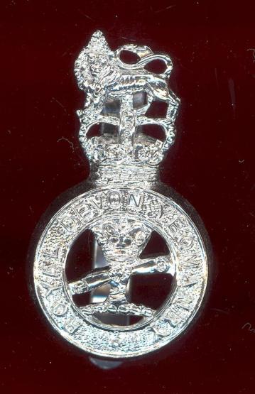 Royal Devon Yeomanry staybright cap badge 