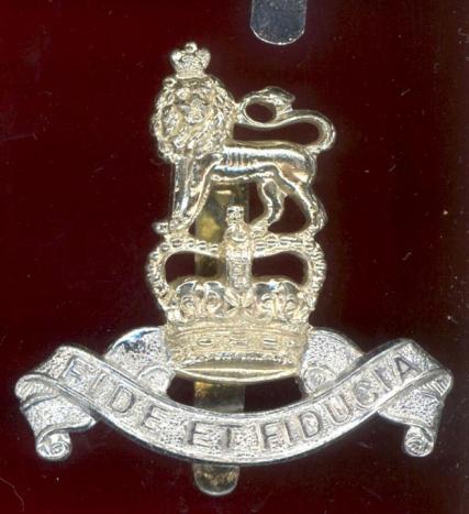 Royal Army Pay Corps staybright cap badge