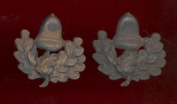 Cheshire Regiment Officer's OSD collar badges