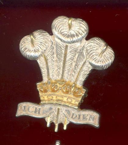 Royal Regiment of Wales Officer's cap badge 