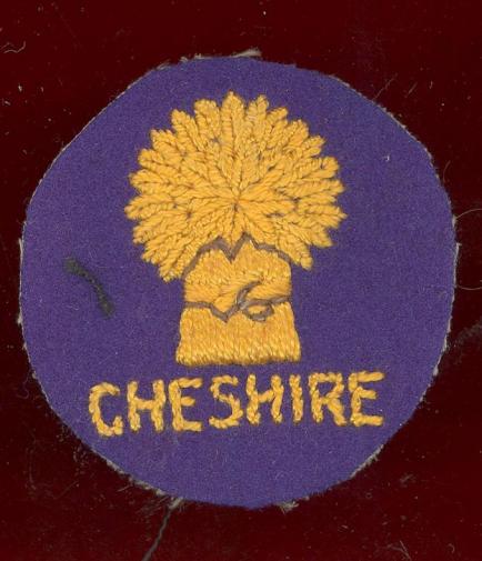 113th Assault Engineer Regiment Cheshire RE cloth formation sign