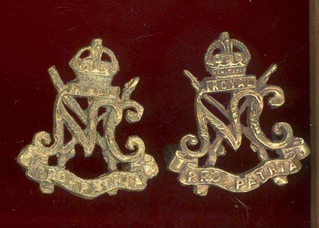 South African Royal Natal Carbineers  collar badges