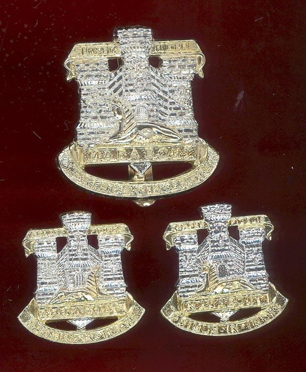 The Devonshire & Dorset Regiment staybright cap & collar badges