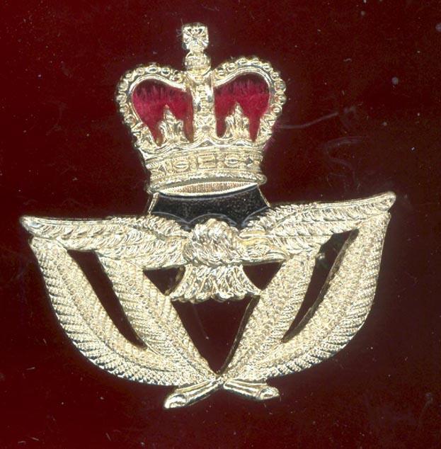 Royal Air Force Warrant Officer's staybright sidecap badge