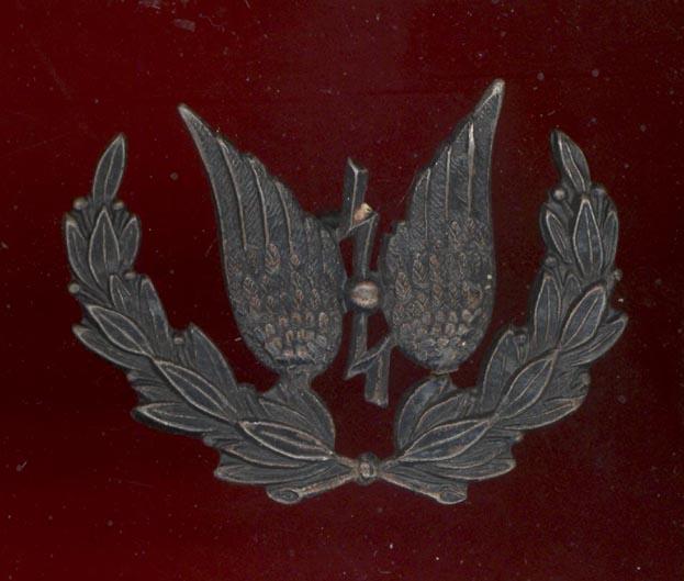 RAF Radio Operator trade arm badge
