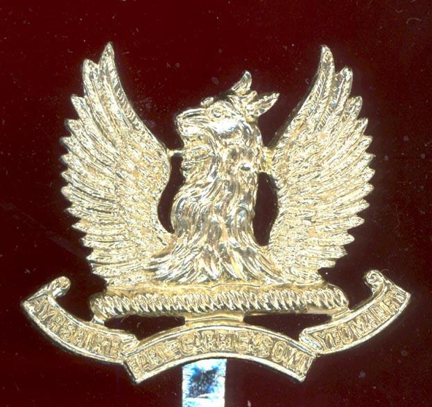 Scottish Ayrshire (Earl of Carrick's Own) Yeomanry OR's staybright cap badge