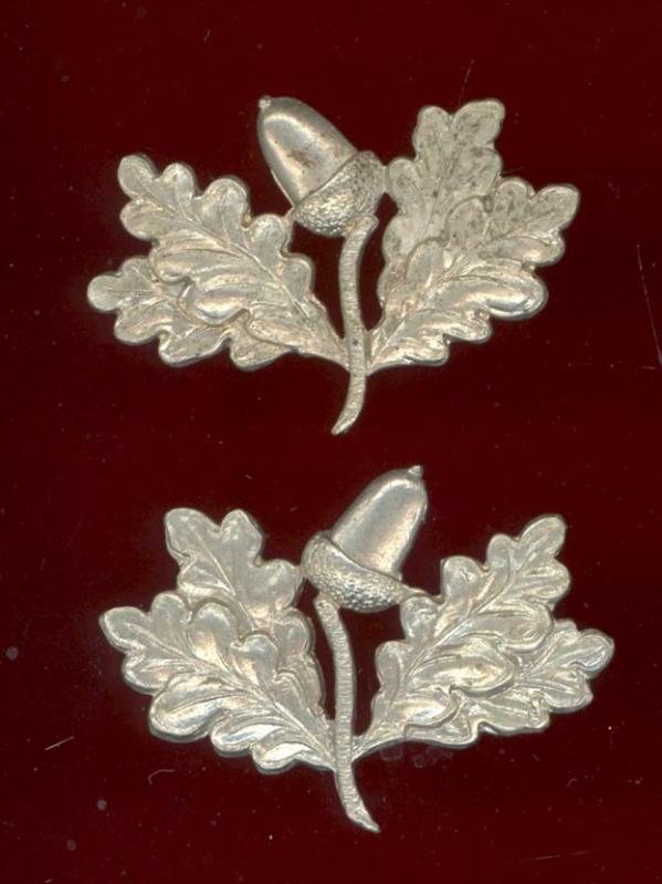 South Nottinghamshire Hussars OR's collar badges