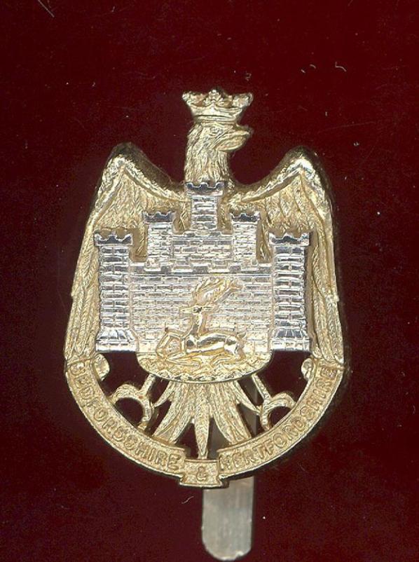 Bedfordshire & Hertfordshire Territorials staybright cap badge