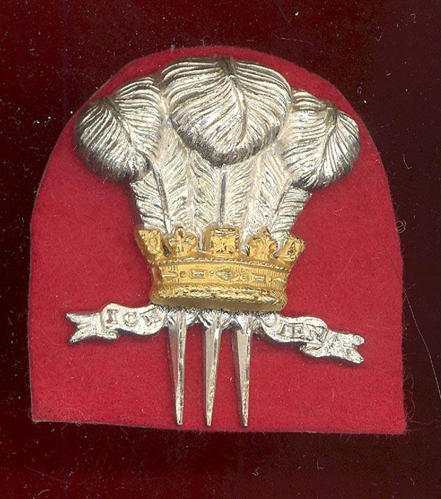 10th Royal Hussars Officer's Beret & Tent-cap badge