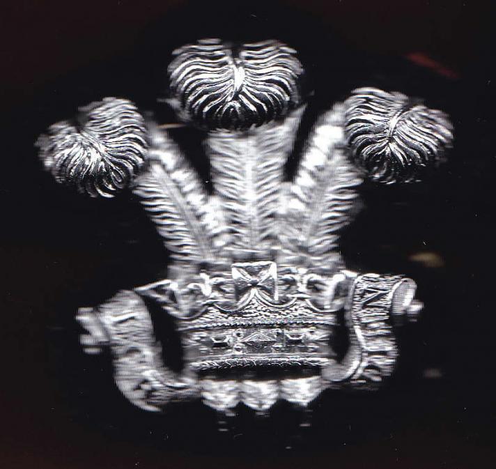 10th Royal Hussars (Prince Of Wales's Own) NCO's arm badge