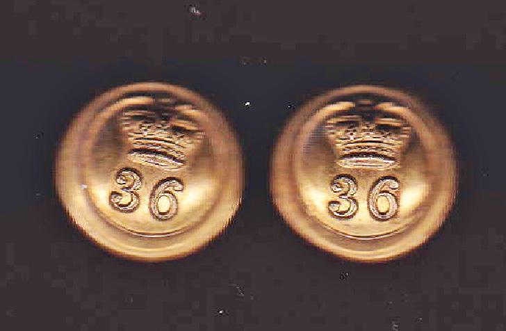 36th Herefordshire Regiment of Foot Victorian Officer's buttons