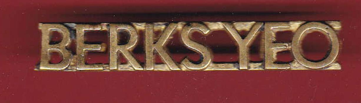 BERKS YEO The Berkshire Yeomanry shoulder title