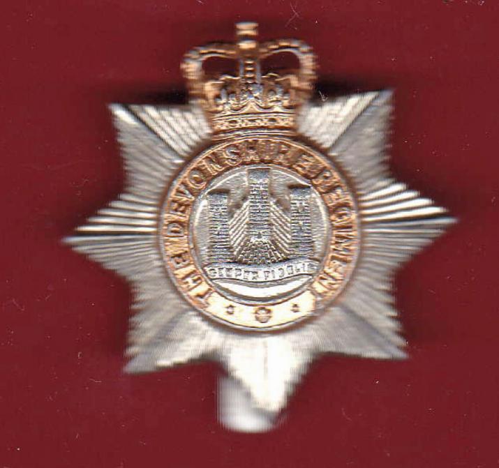 The Devonshire Regiment staybright cap badge