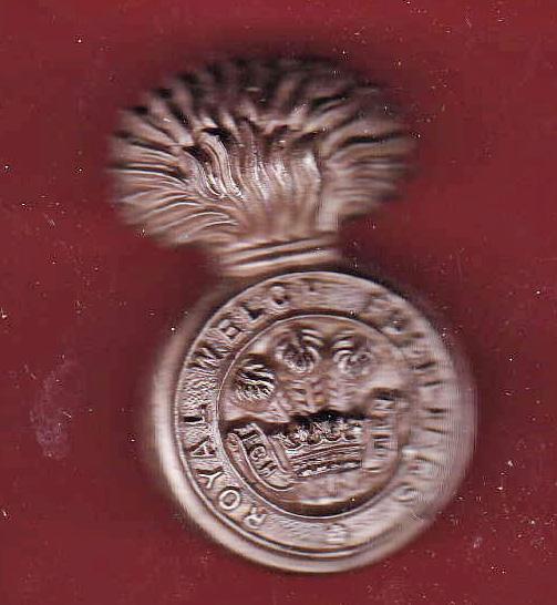 Royal Welch Fusiliers WW2 plastic economy cap badge