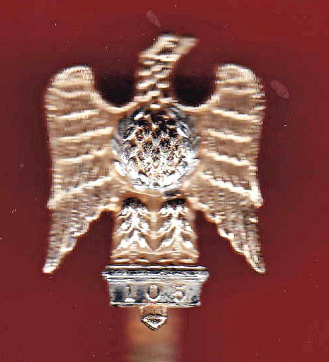 1st Royal  Dragoons staybright cap badge
